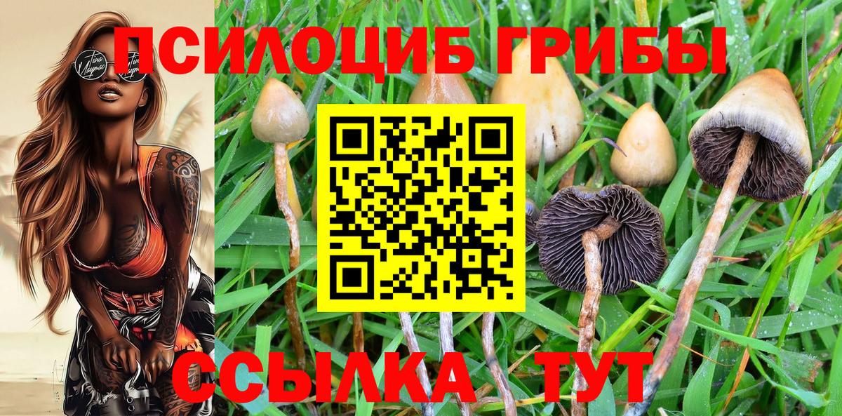 Галлюциногенные грибы ЛСД  Вход с VPN  Псилоцибиновые грибы Cubensis  Великий Новгород 